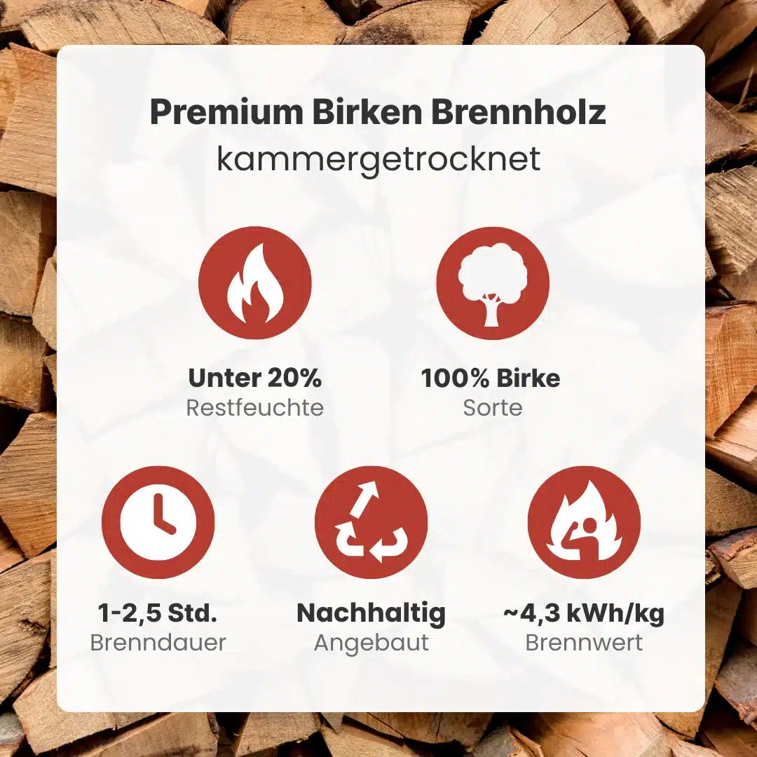 Kaminholz Birke kammergetrocknet | 1 RM