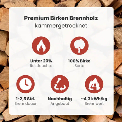 Kaminholz Birke kammergetrocknet | 1 RM