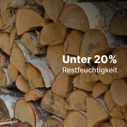 Kaminholz Birke kammergetrocknet | 1 RM