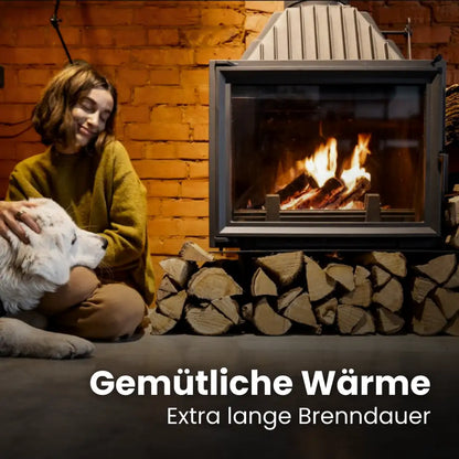 Kaminholz Birke kammergetrocknet | 1 RM