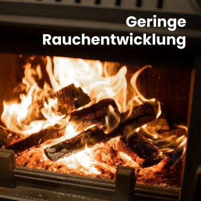 Kaminholz Birke kammergetrocknet | 1 RM